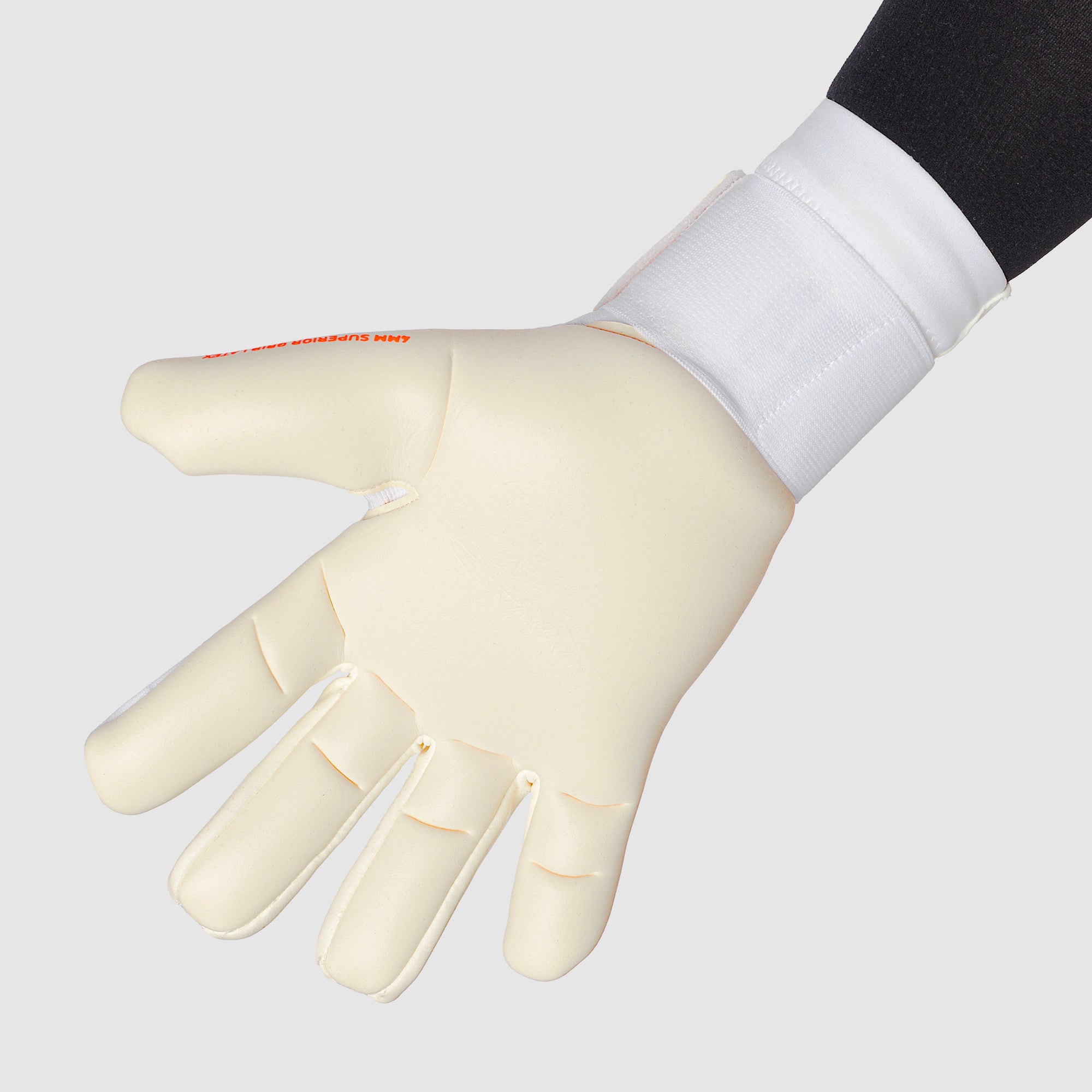 Gallery_2