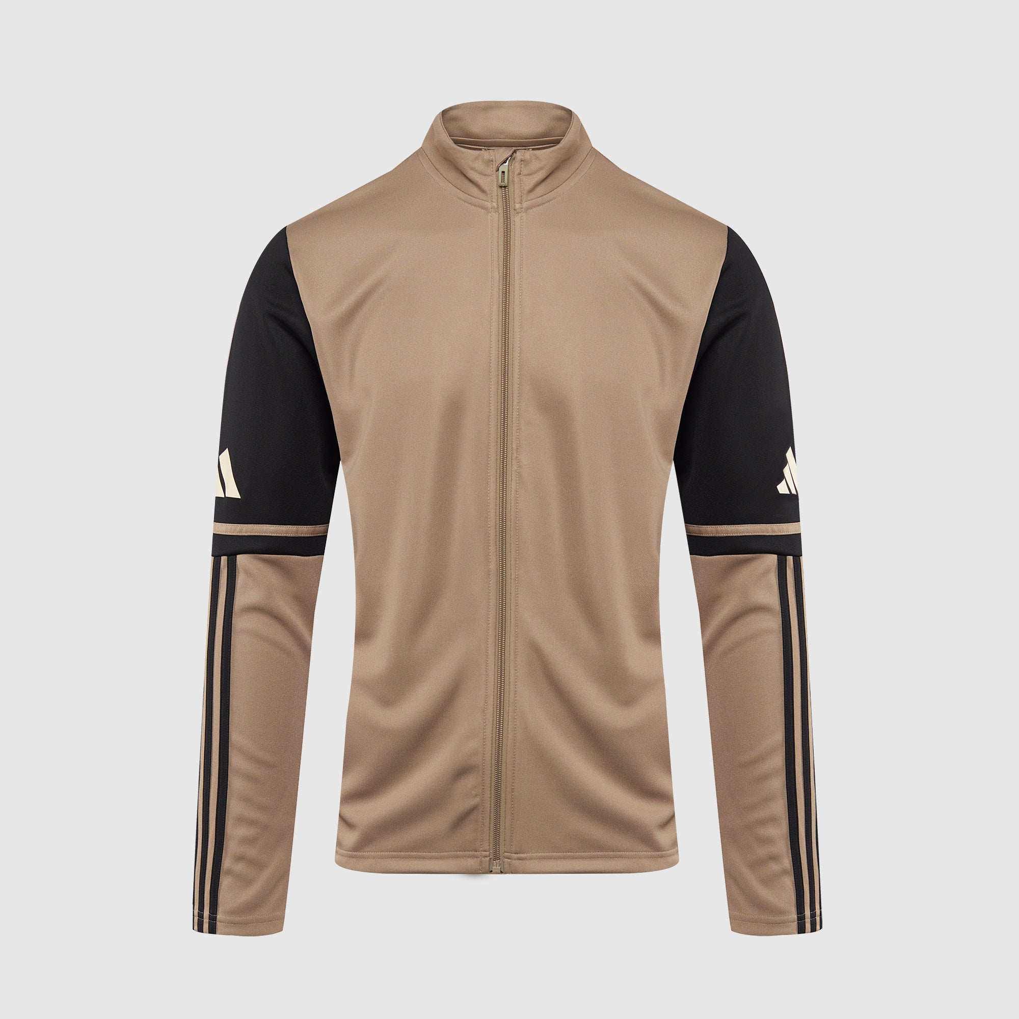 Main