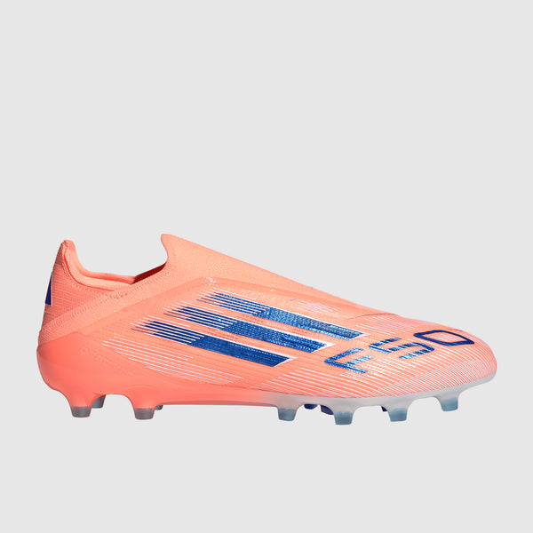 Main