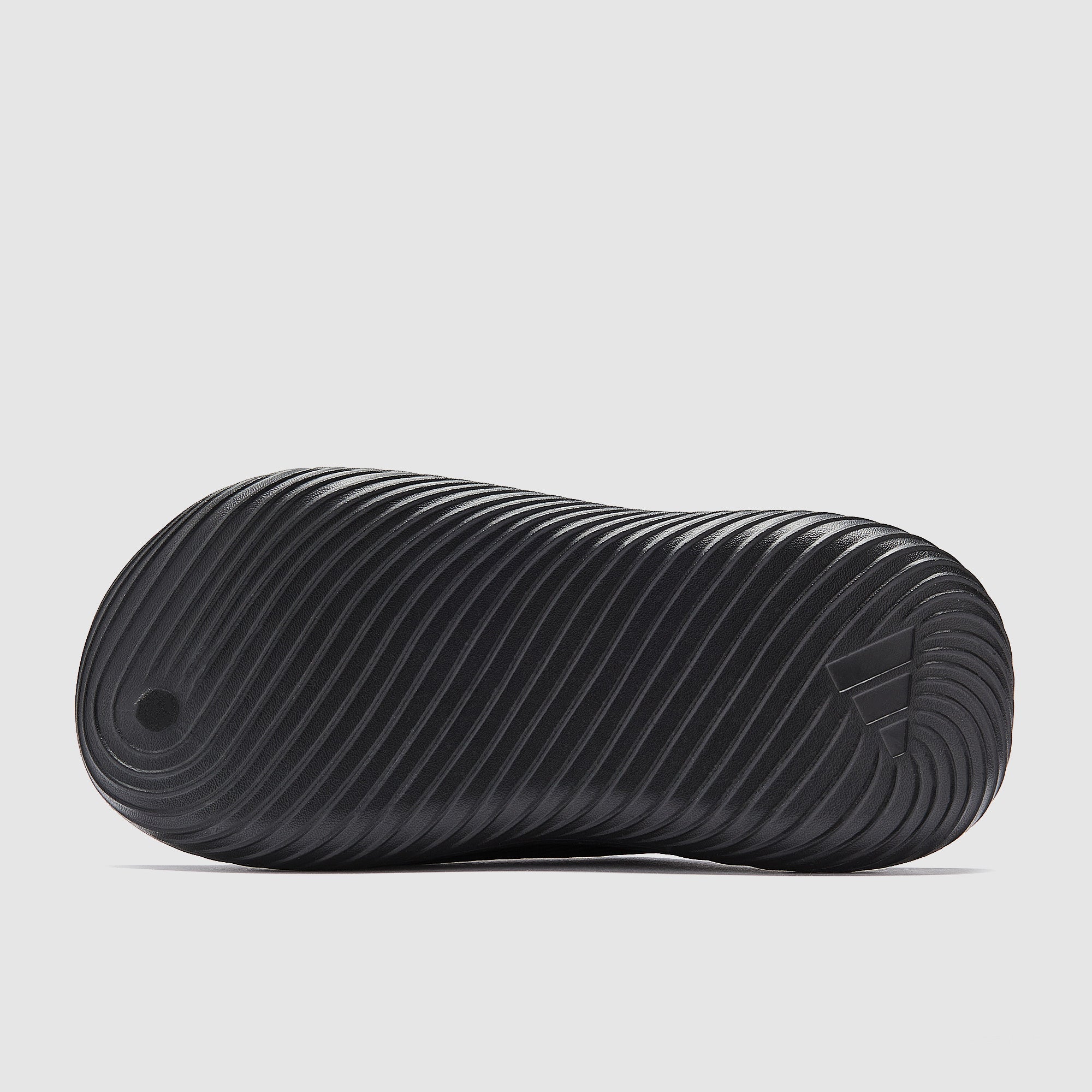 GALLERY_3