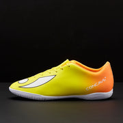 Gallery_1