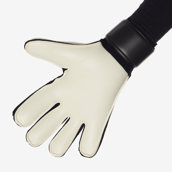 Gallery_2