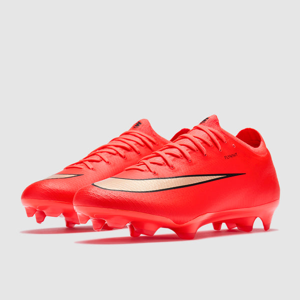 GALLERY_5