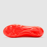 GALLERY_3