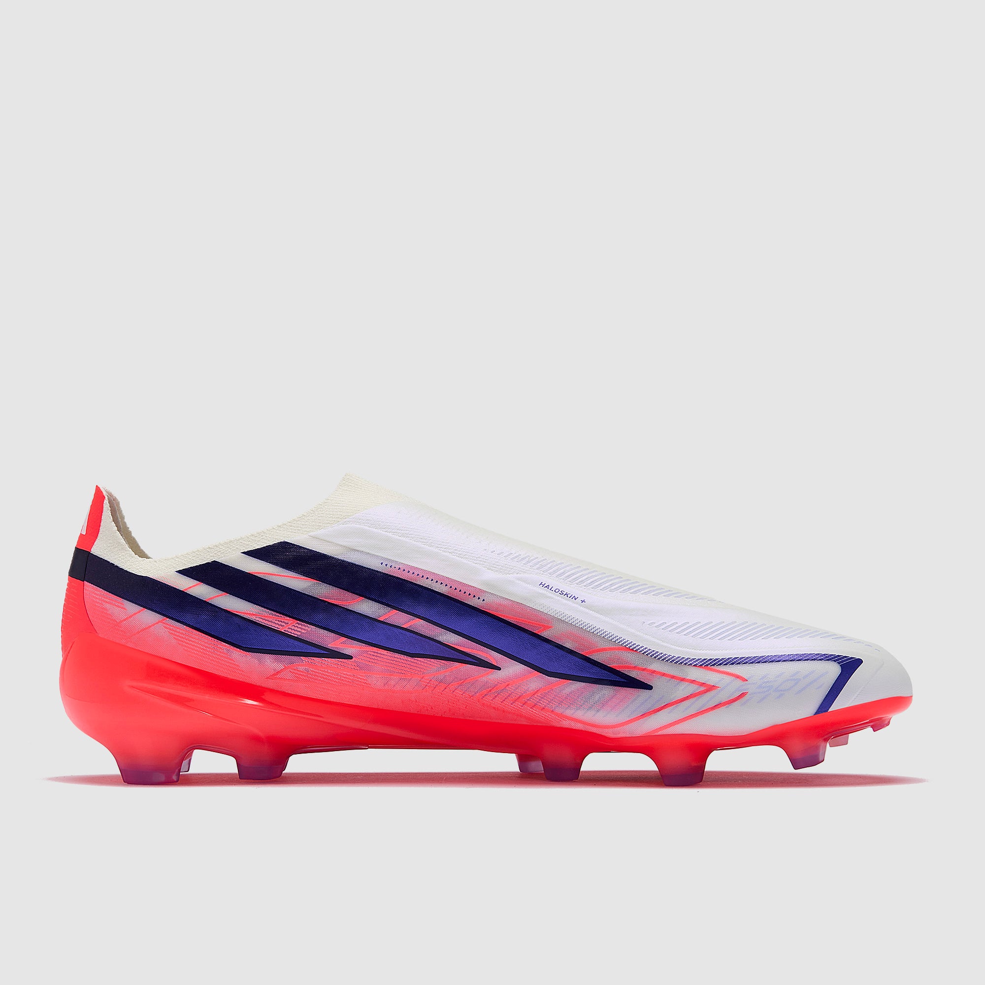 GALLERY_2